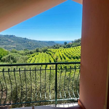 Agriturismo Ada Musso Ss Diano Borello Kültér fotó