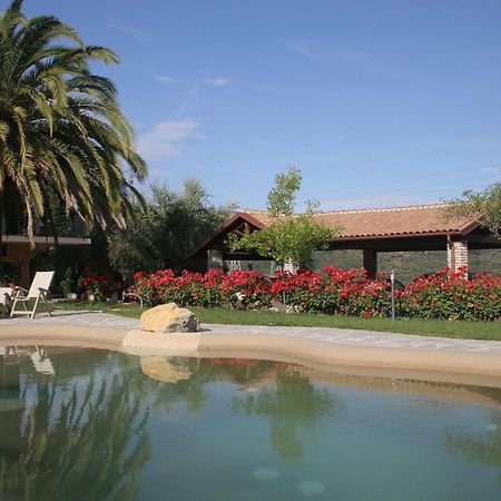 Agriturismo Ada Musso Ss Diano Borello Kültér fotó