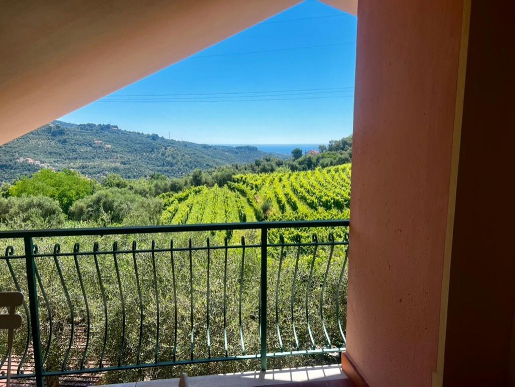 Agriturismo Ada Musso Ss Diano Borello Kültér fotó