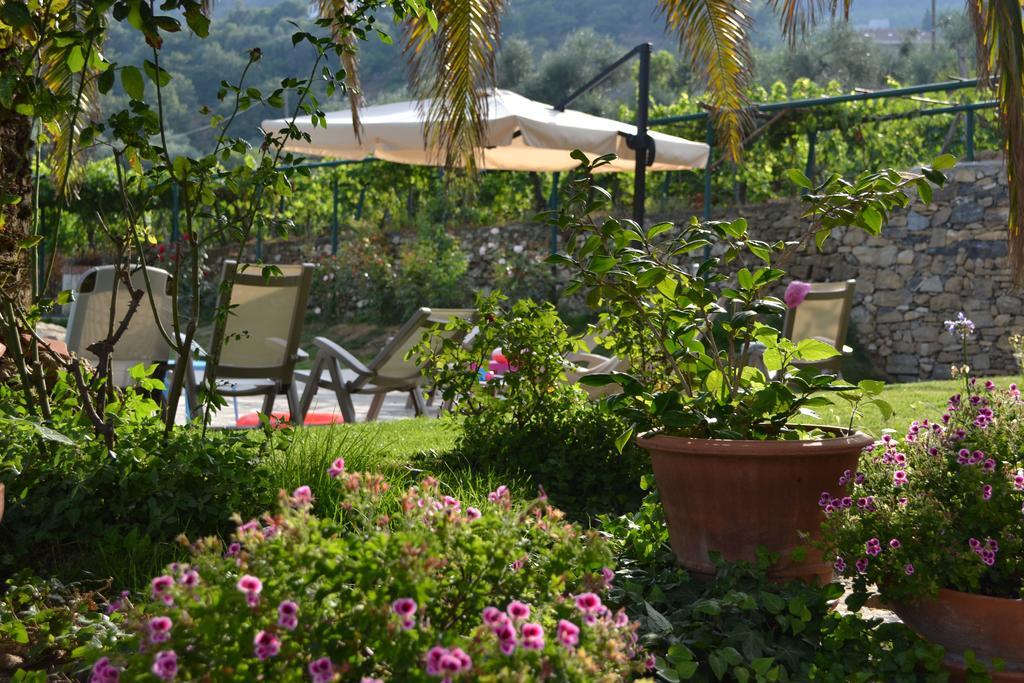 Agriturismo Ada Musso Ss Diano Borello Kültér fotó