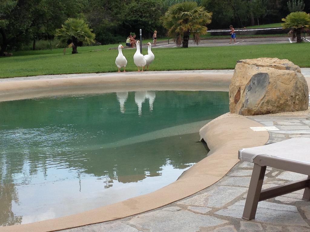 Agriturismo Ada Musso Ss Diano Borello Kültér fotó
