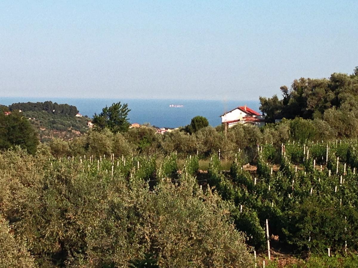 Agriturismo Ada Musso Ss Diano Borello Szoba fotó
