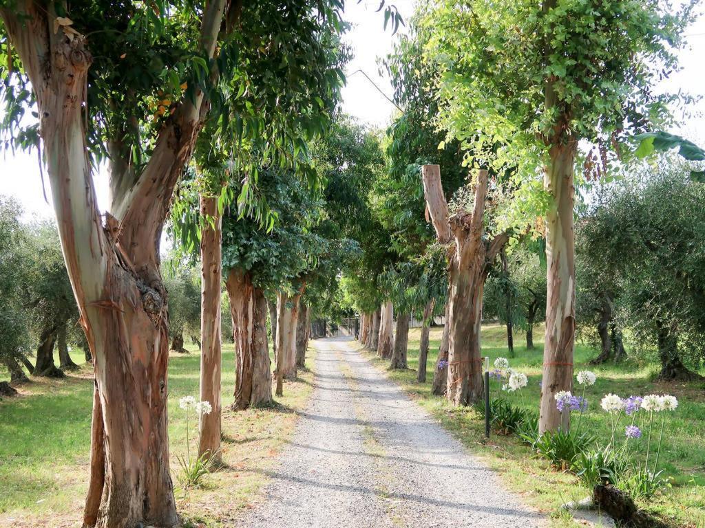 Agriturismo Ada Musso Ss Diano Borello Kültér fotó