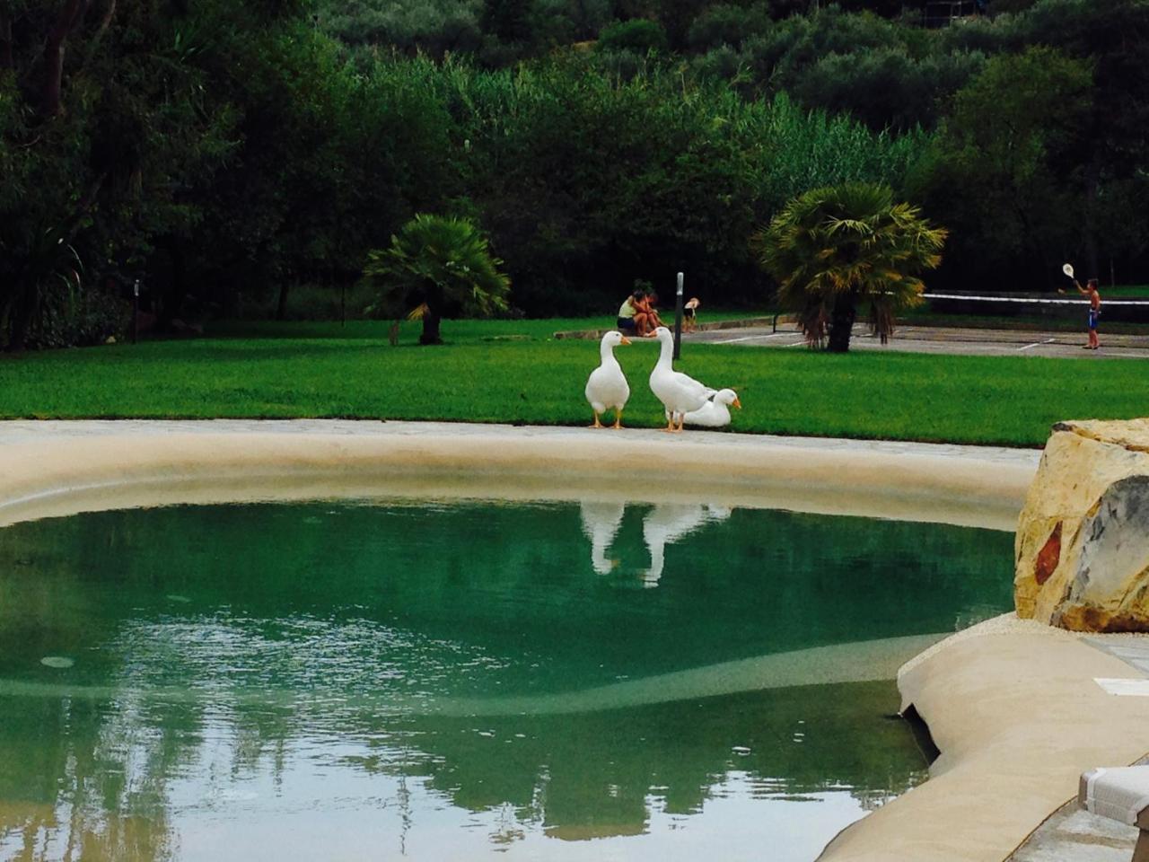 Agriturismo Ada Musso Ss Diano Borello Kültér fotó