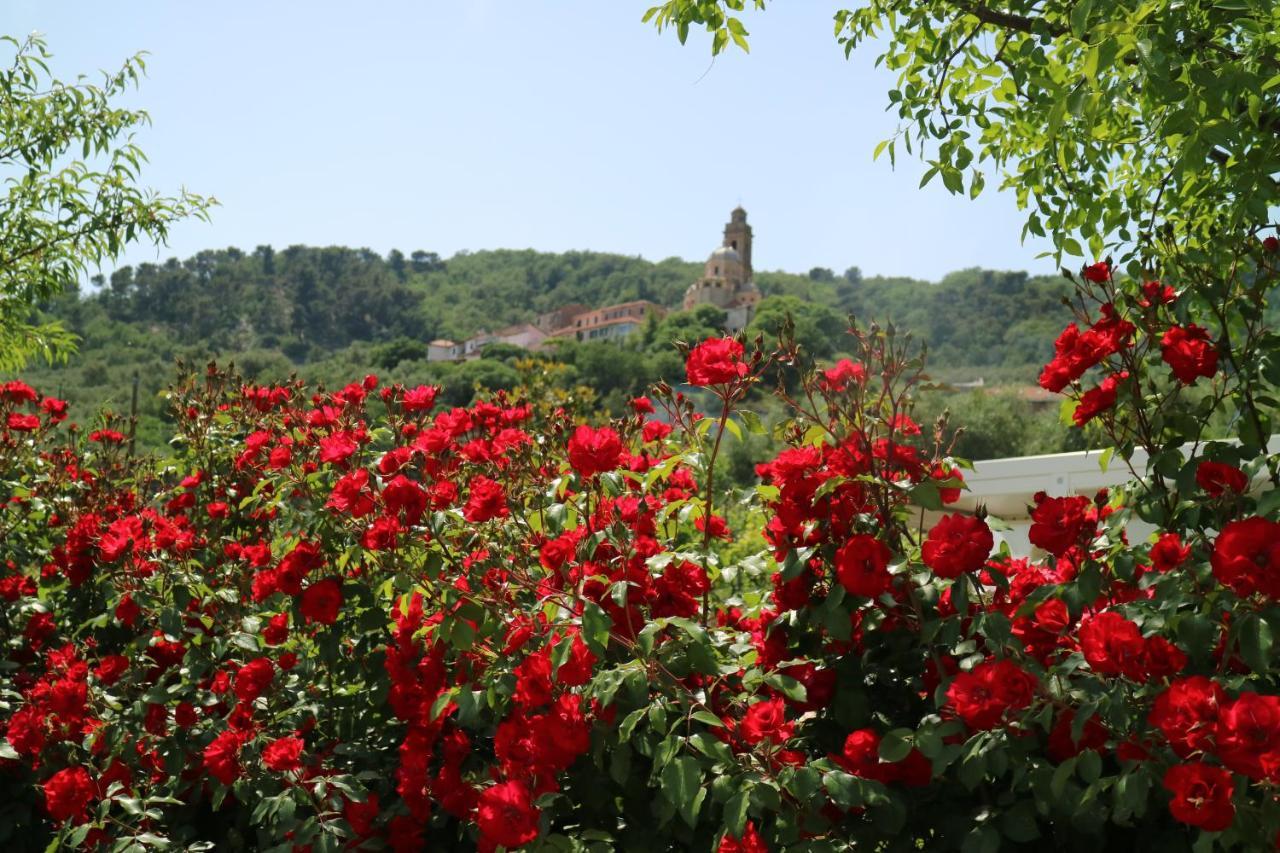 Agriturismo Ada Musso Ss Diano Borello Kültér fotó